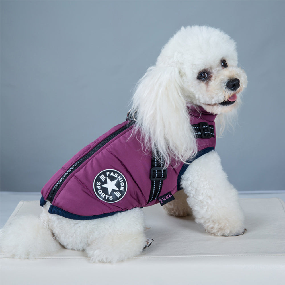 DazzleSport™ - Waterproof Jacket Harness - Blue