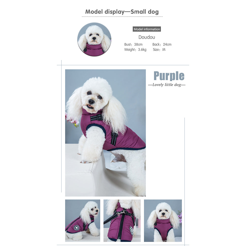 DazzleSport™ - Waterproof Jacket Harness - Blue