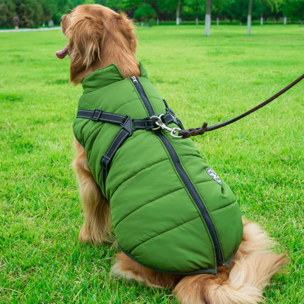 DazzleSport™ - Waterproof Jacket Harness - Blue