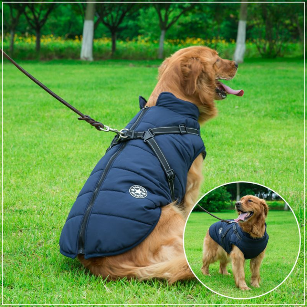 DazzleSport™ - Waterproof Jacket Harness - Blue