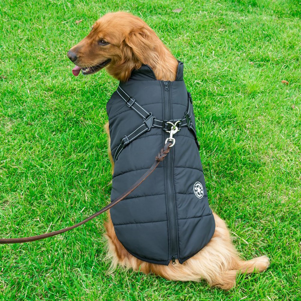 DazzleSport™ - Waterproof Jacket Harness - Blue