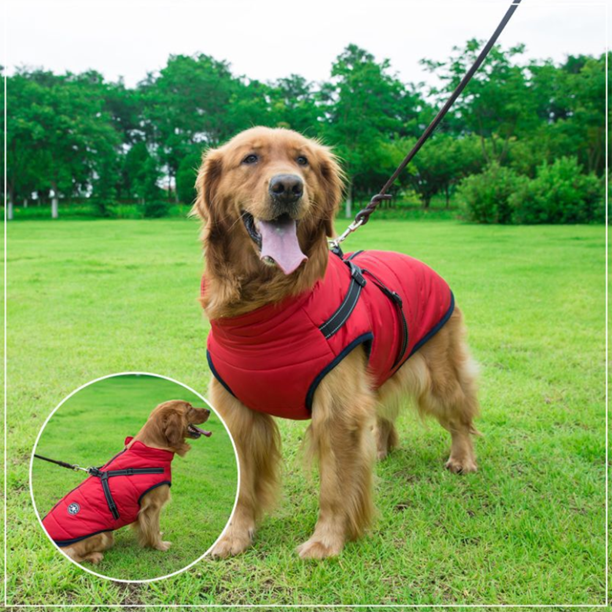 DazzleSport™ - Waterproof Jacket Harness - Blue