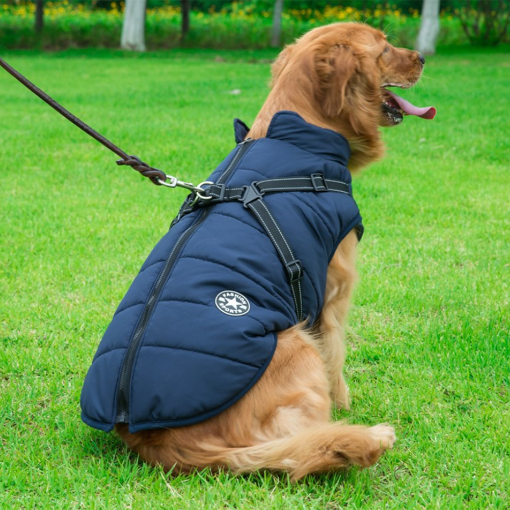 DazzleSport™ - Waterproof Jacket Harness - Blue