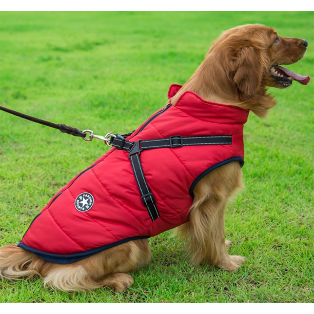DazzleSport™ - Waterproof Jacket Harness - Blue