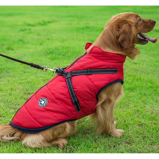 DazzleSport™ - Waterproof Jacket Harness-Red