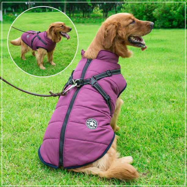 DazzleSport™ - Waterproof Jacket Harness - Blue