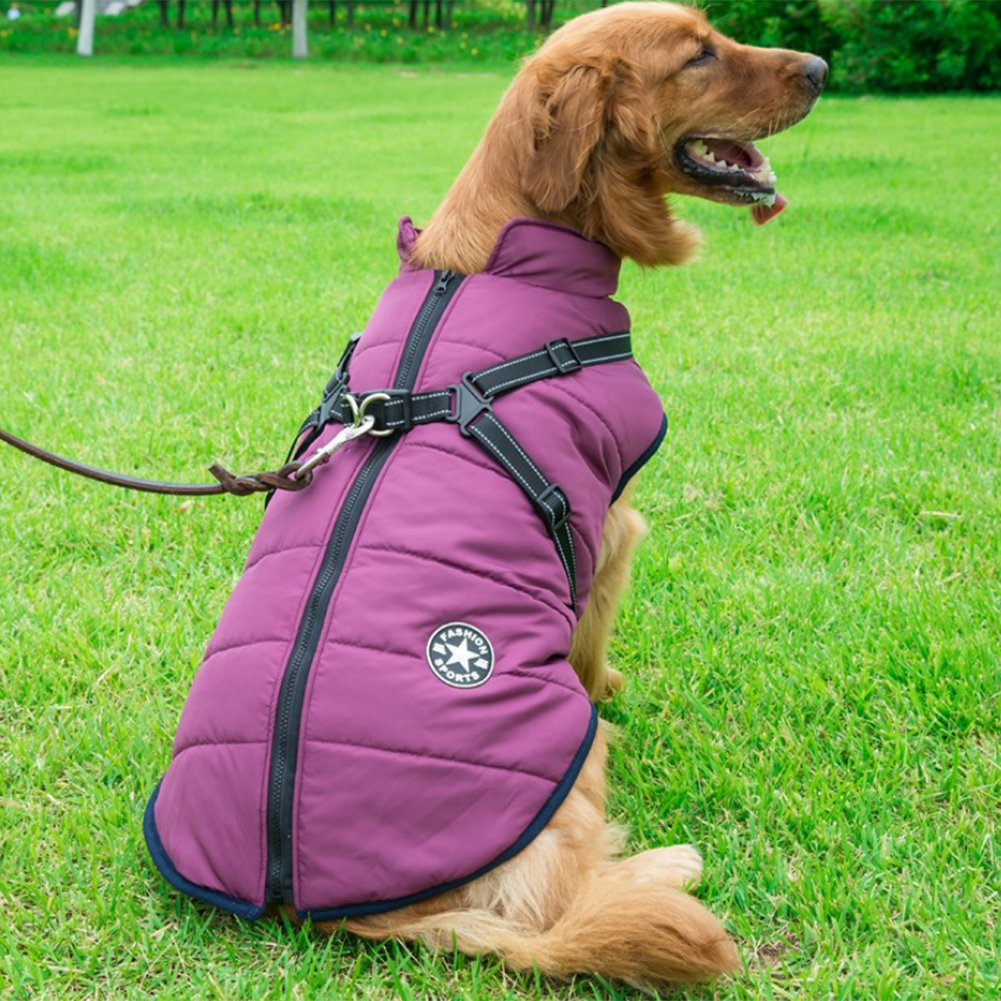 DazzleSport™ - Waterproof Jacket Harness - Blue