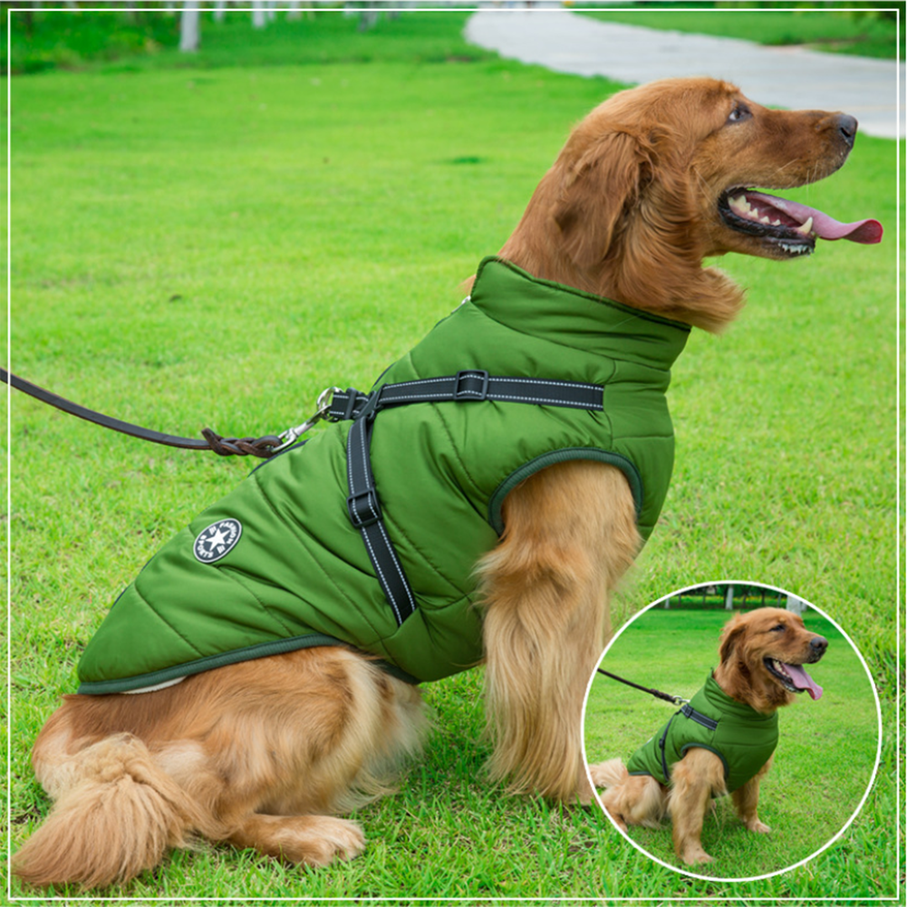 DazzleSport™ - Waterproof Jacket Harness - Blue