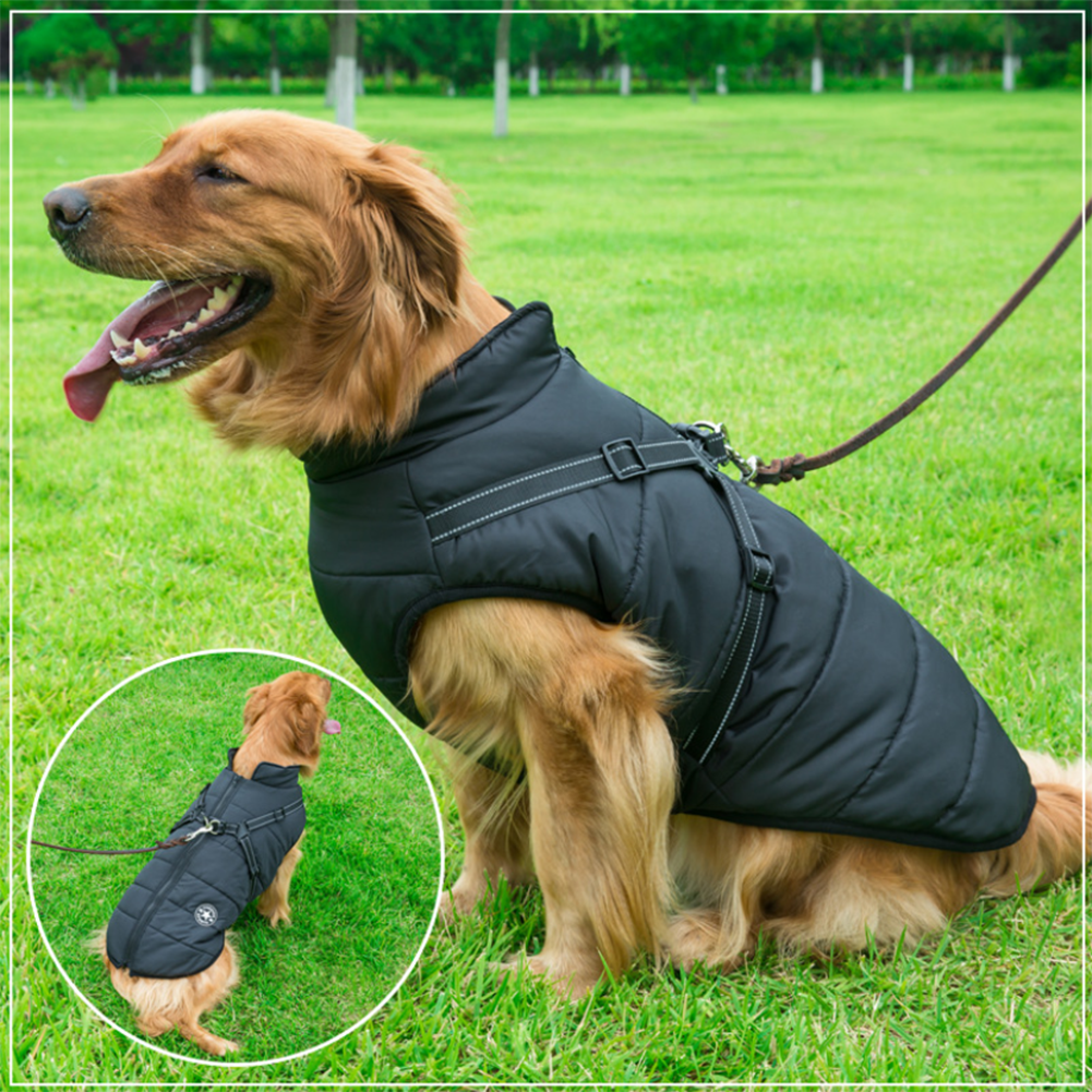 DazzleSport™ - Waterproof Jacket Harness - Blue