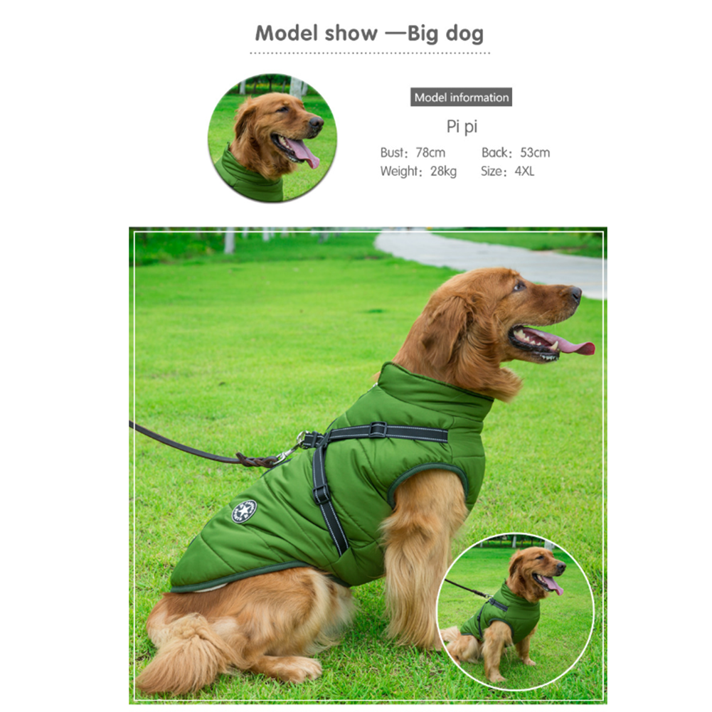 DazzleSport™ - Waterproof Jacket Harness - Blue