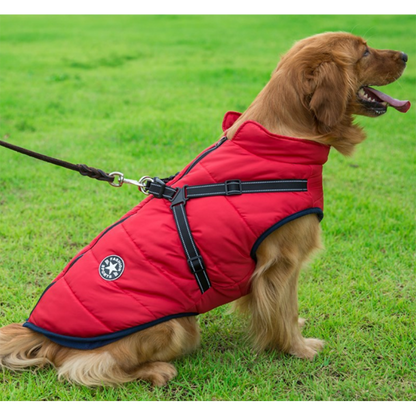 DazzleSport™ - Waterproof Jacket Harness - Blue