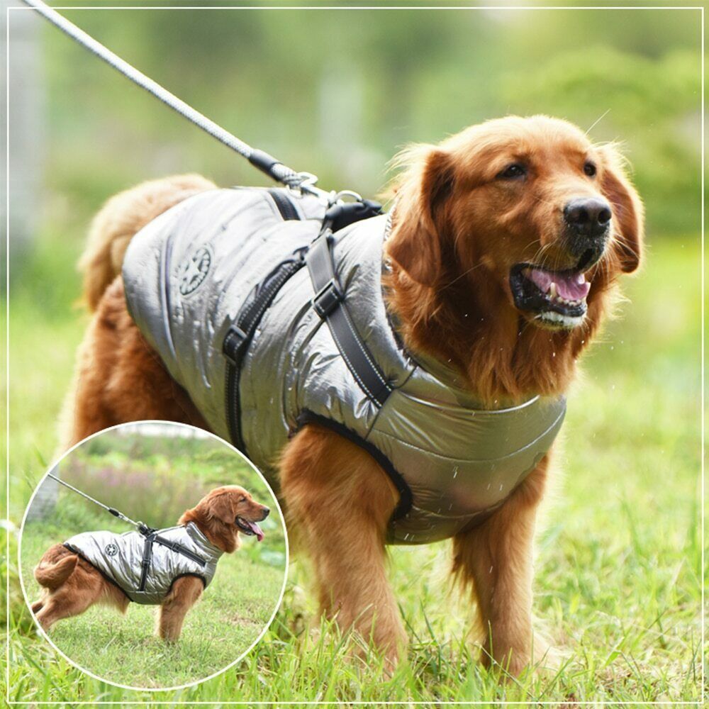 DazzleSport™ - Waterproof Jacket Harness - Blue