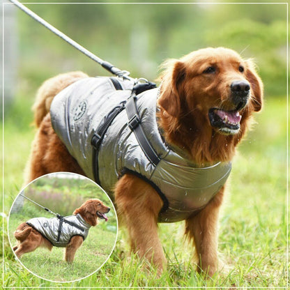 DazzleSport™ - Waterproof Jacket Harness - Blue